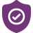 icon 4